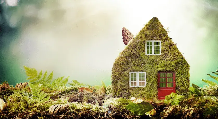 Eco-Friendly Solutions