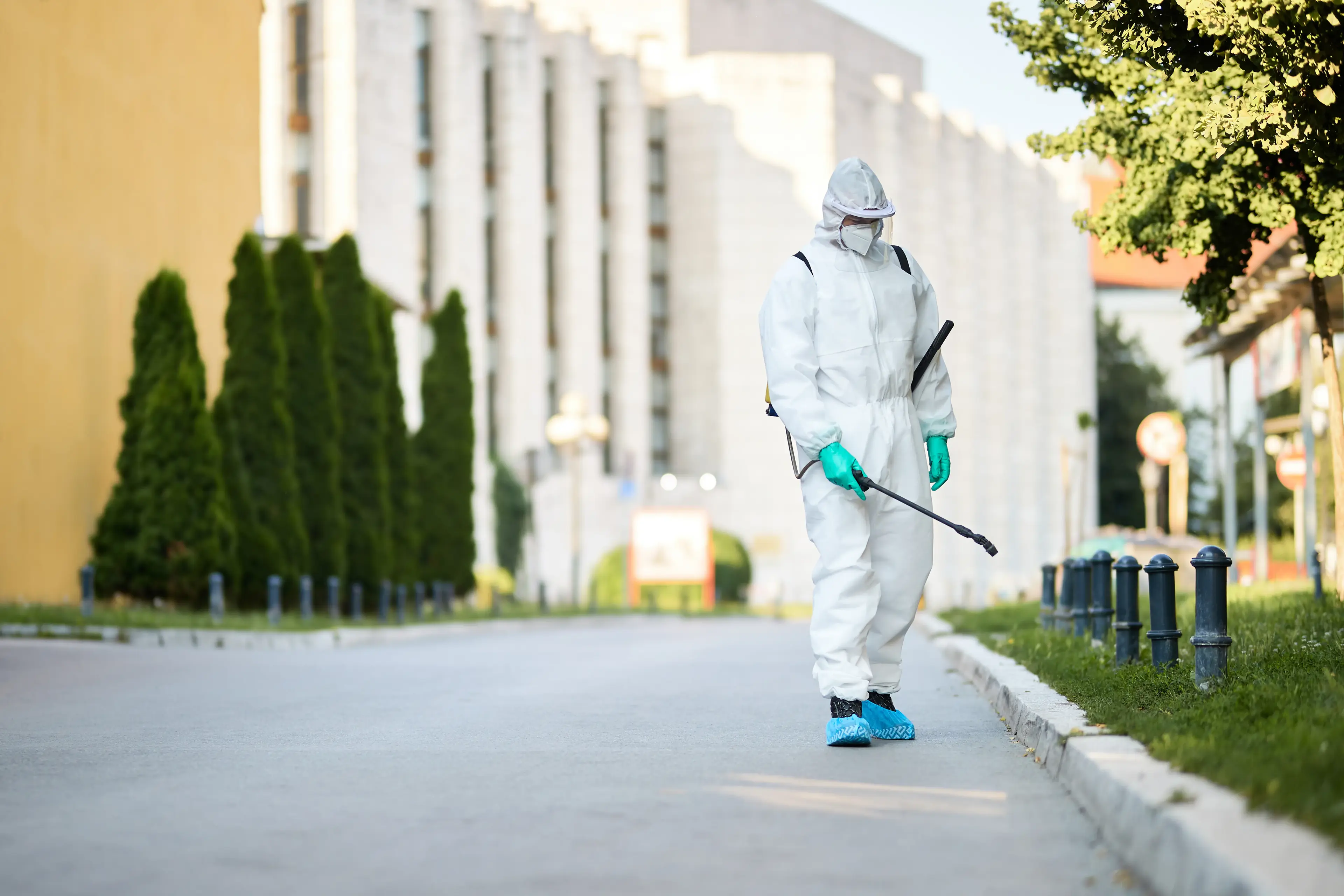 Mesaieed Cleaning Services