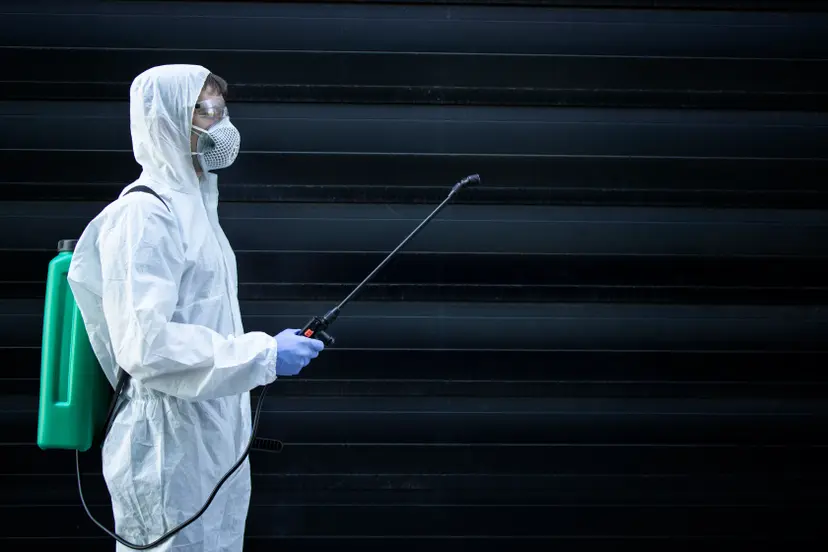 Pest Control in Dukhan