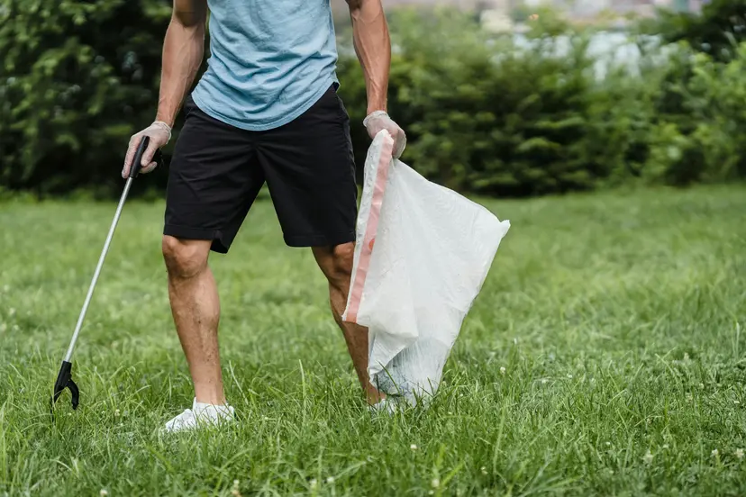Pest Control in Al Zubara