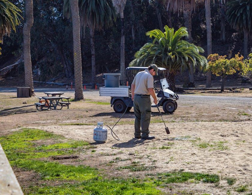 Why Professional Cleaning Services Are Essential