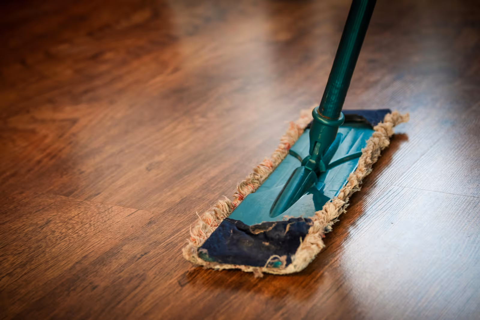 After carpet cleaning with cleaner and refreshed carpet look