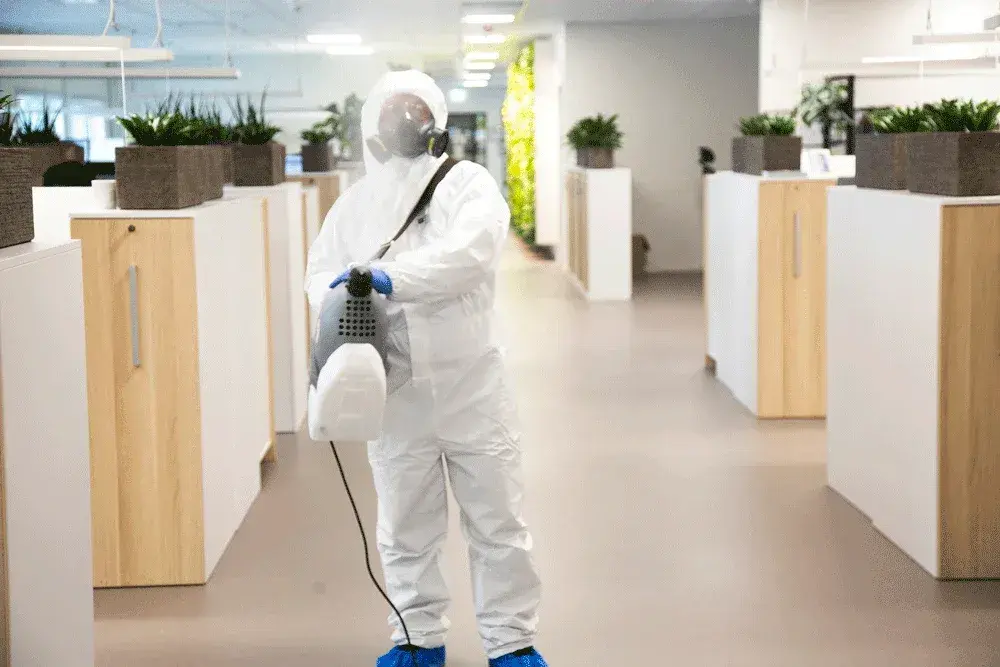 Premier Office Cleaning Services in Qatar