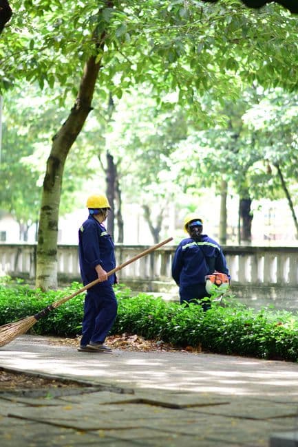 Top Benefits of Hiring Professional Cleaning Services in Qatar